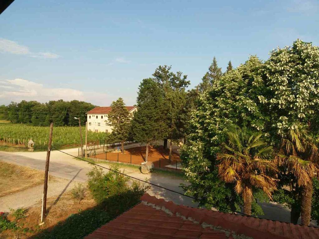Pansion Ljubica Hotell Međugorje Exteriör bild