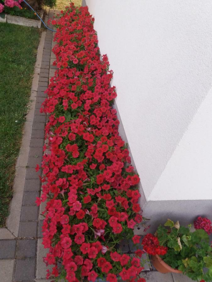 Pansion Ljubica Hotell Međugorje Exteriör bild